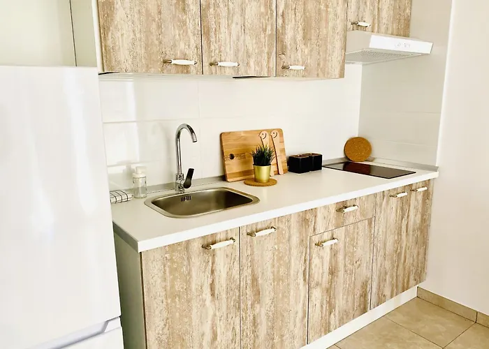 In The Sea Vina Del Mar By Deihu Experiences أذيخي