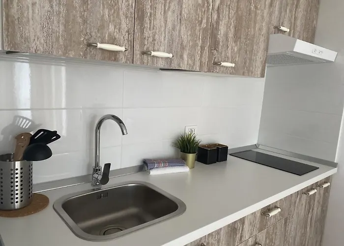 In The Sea Vina Del Mar By Deihu Experiences *